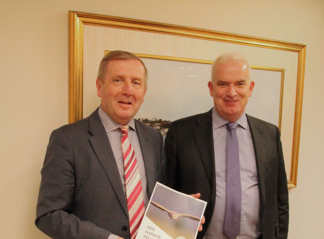 €3m in hen harrier payments commence amid promising results