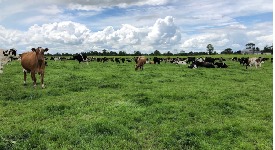 Time to put a plan in place for the breeding season...if you haven't done so already