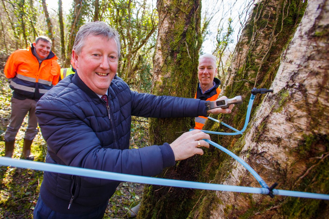 Minister Canney marks beginning of 'new harvest' for Bord na Móna