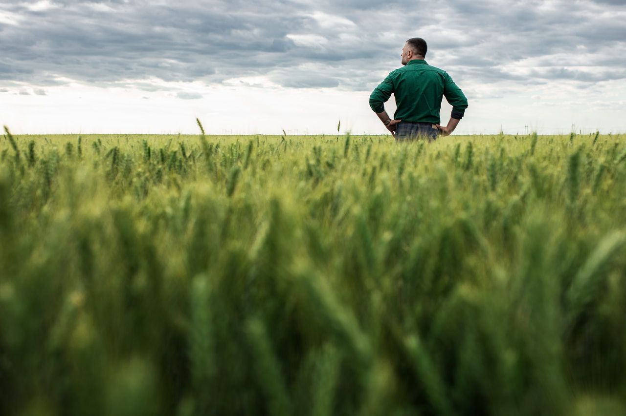 Study: Farmers feel 'shut out' from climate action