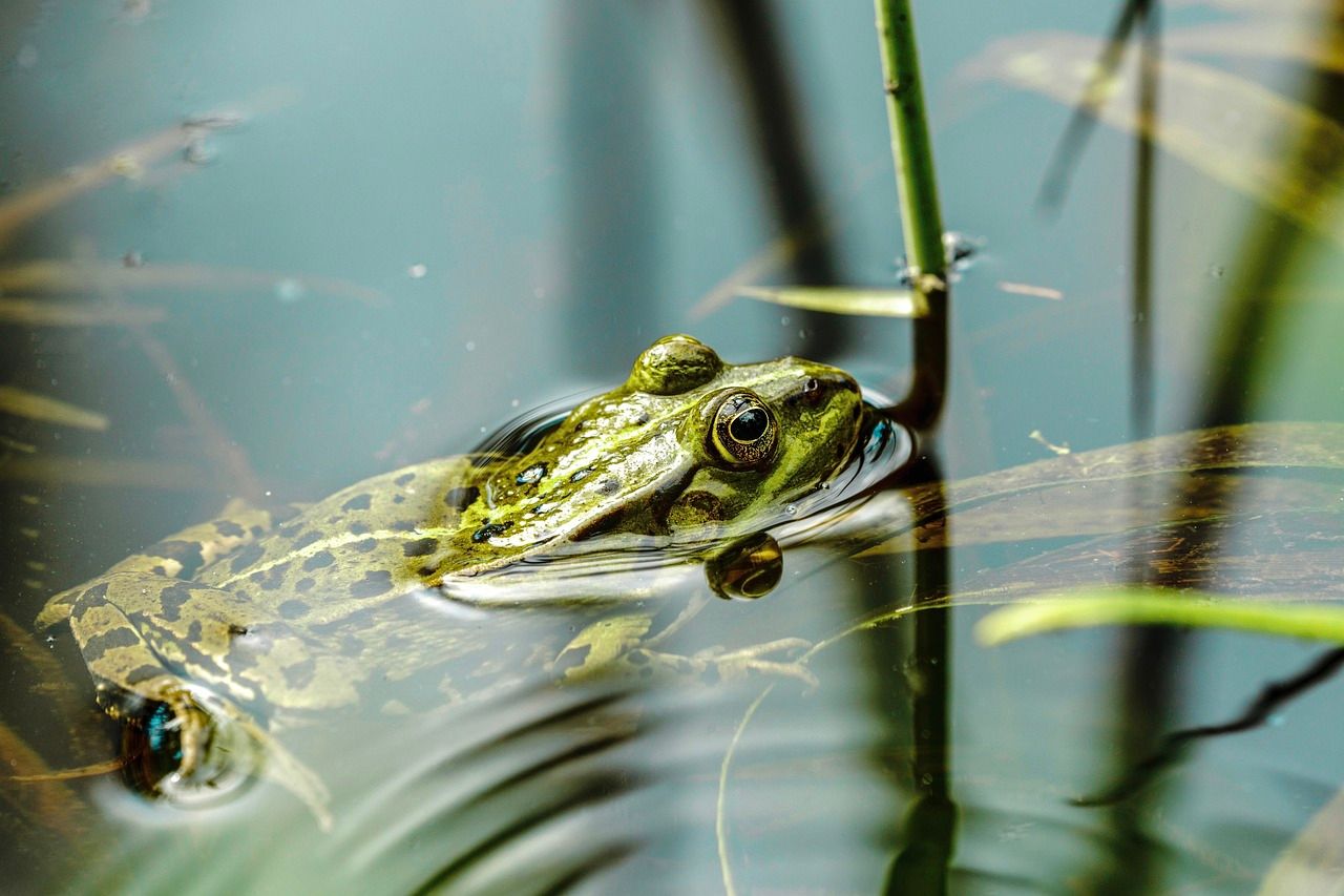 Landowner project part of €2.8m biodiversity funding boost