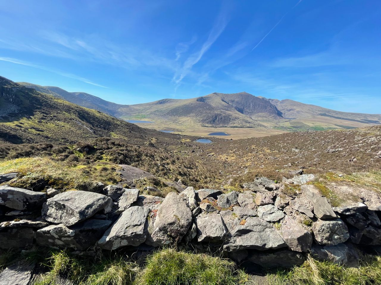 NPWS to commission habitat assessments in new national park