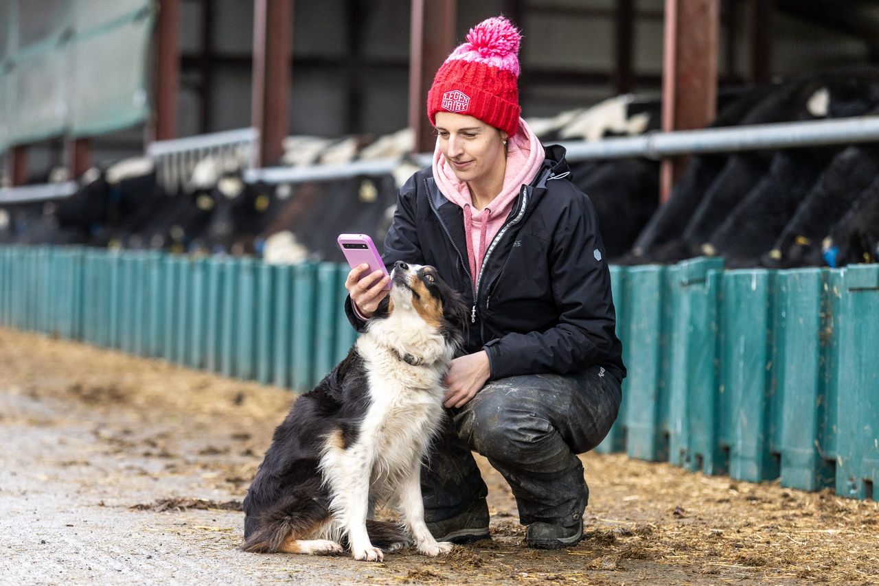 Agriland and MSD Animal Health launch new series ahead of breeding season