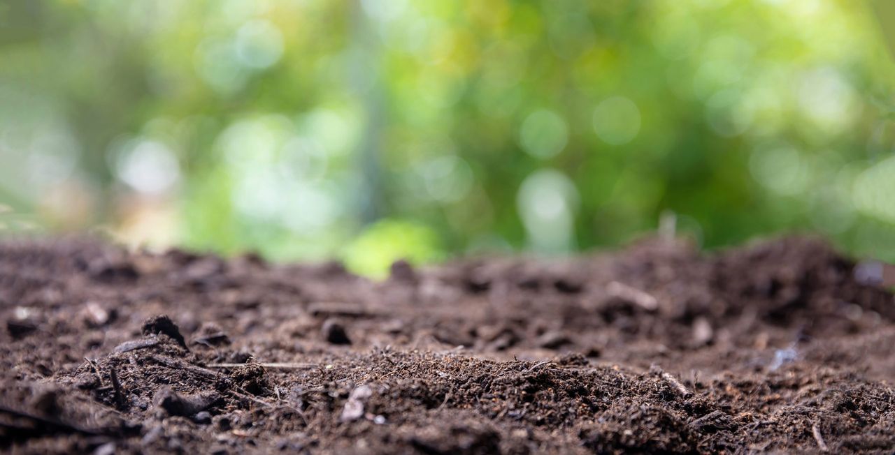 Report: Higher lime use has increased soil pH across farms