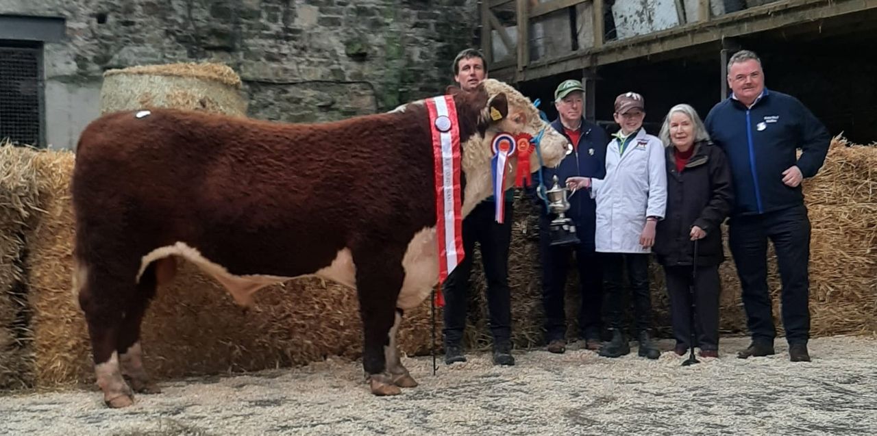 Ballydehob-bred bull takes top title at Bandon Hereford sale
