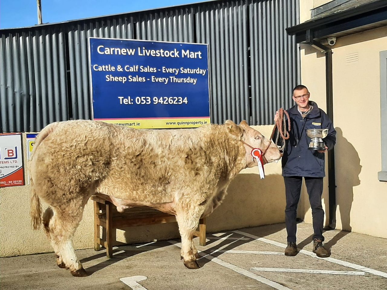 Bullocks sell up to €3,000 at special show and sale in Carnew Mart