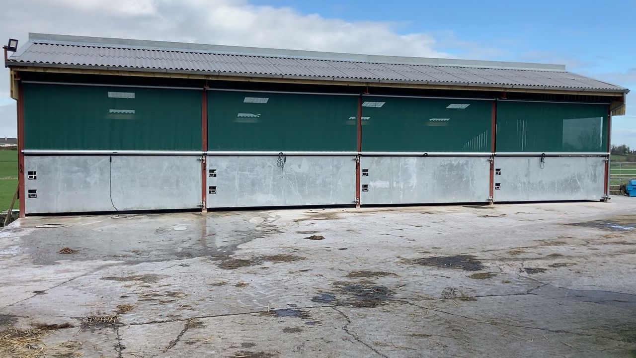 Buildings Focus: Mono-pitched calf shed for 80 calves in Co. Fermanagh