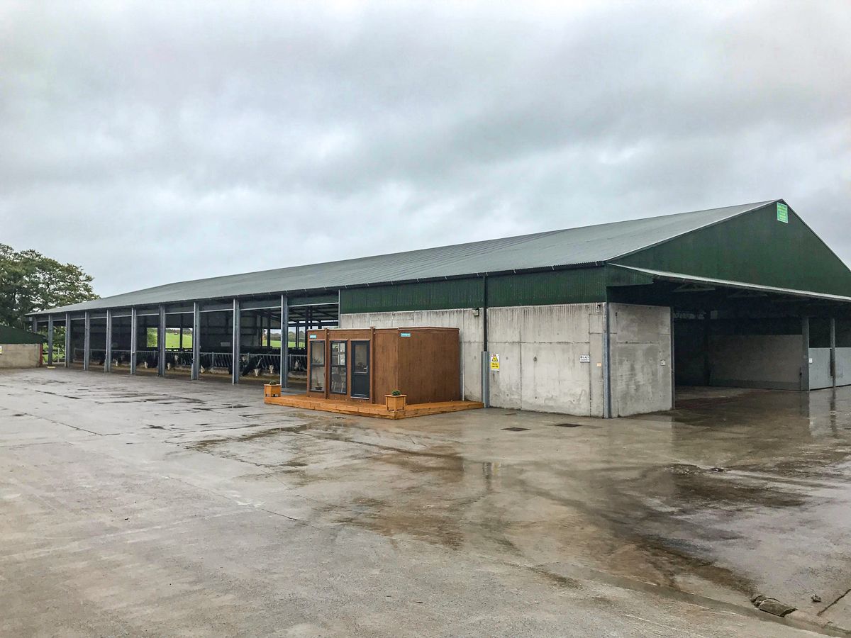Finishing 1,500 head of cattle with a fully automated feeding system in Co. Cork