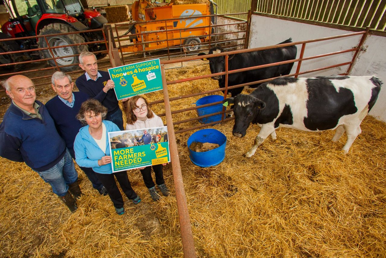 Schoolgirl buys heifer with Confirmation money for Hooves4Hospice