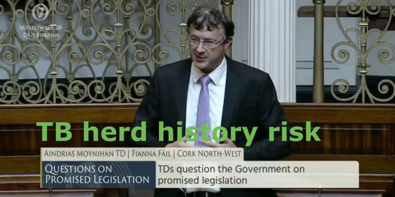 'You can't keep going the way it is - stop' - Moynihan