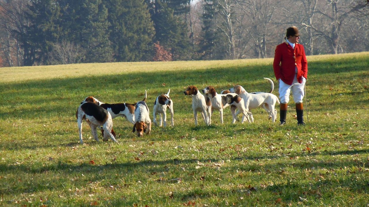 Farmers being 'informed' that hunt will cross their land is 'not good enough'