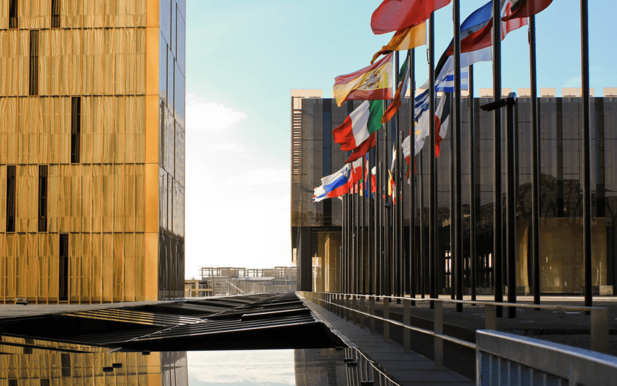 EU organic logo can't be used on 'non-stunned produce' - ECJ