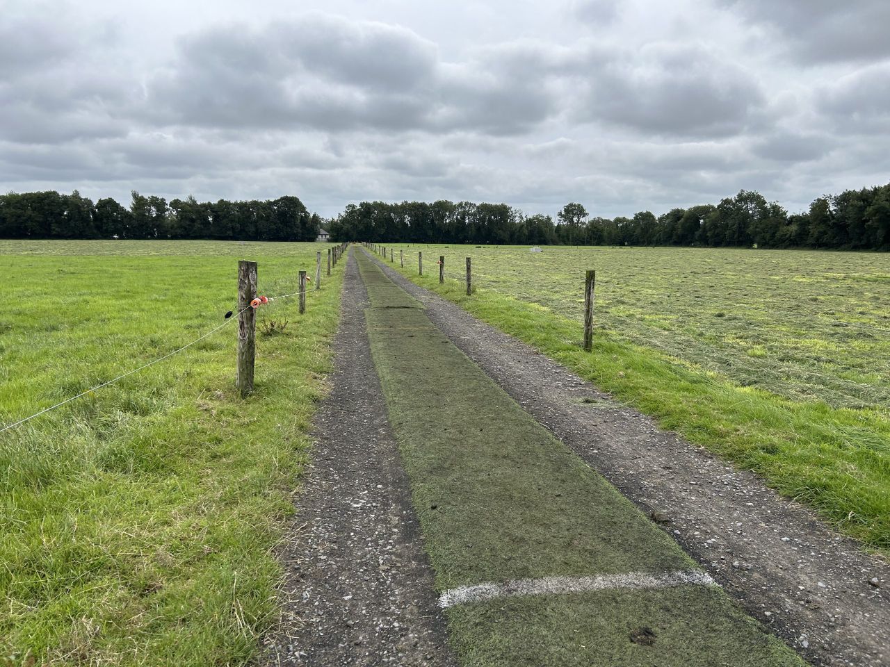 Ensuring roadways are in good condition to reduce lameness