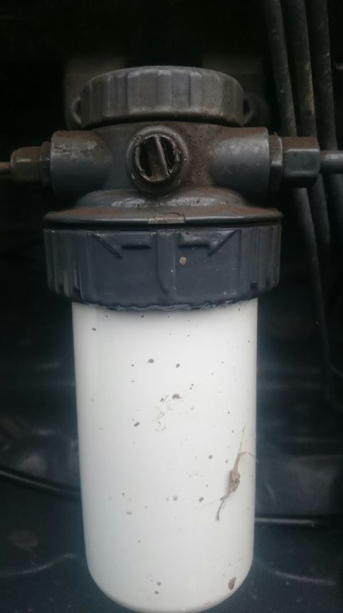 Fuel filter with a bleed screw