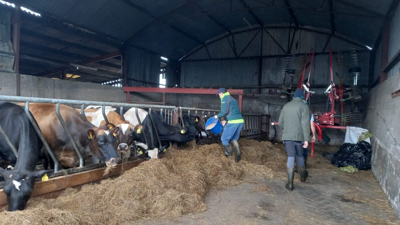 Almost €780,000 in funding for social farming initiatives