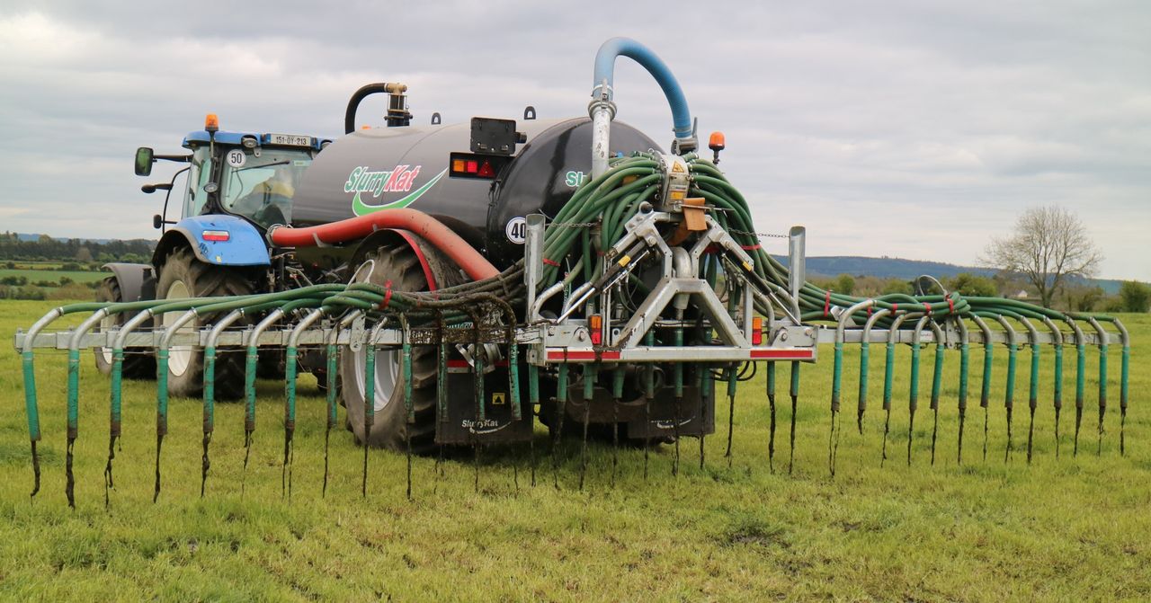 Derogation farmers 'should not qualify for CAP payments' - INHFA