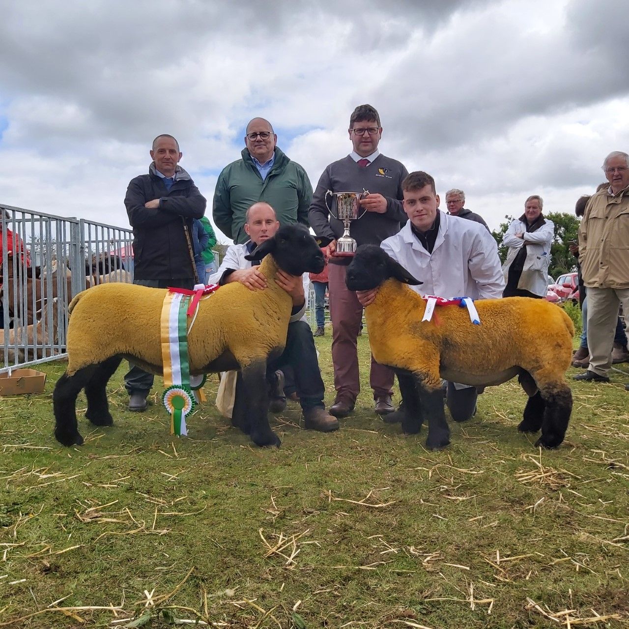 'Suffolk delight' at seeing large entry of enthusiastic young breeders