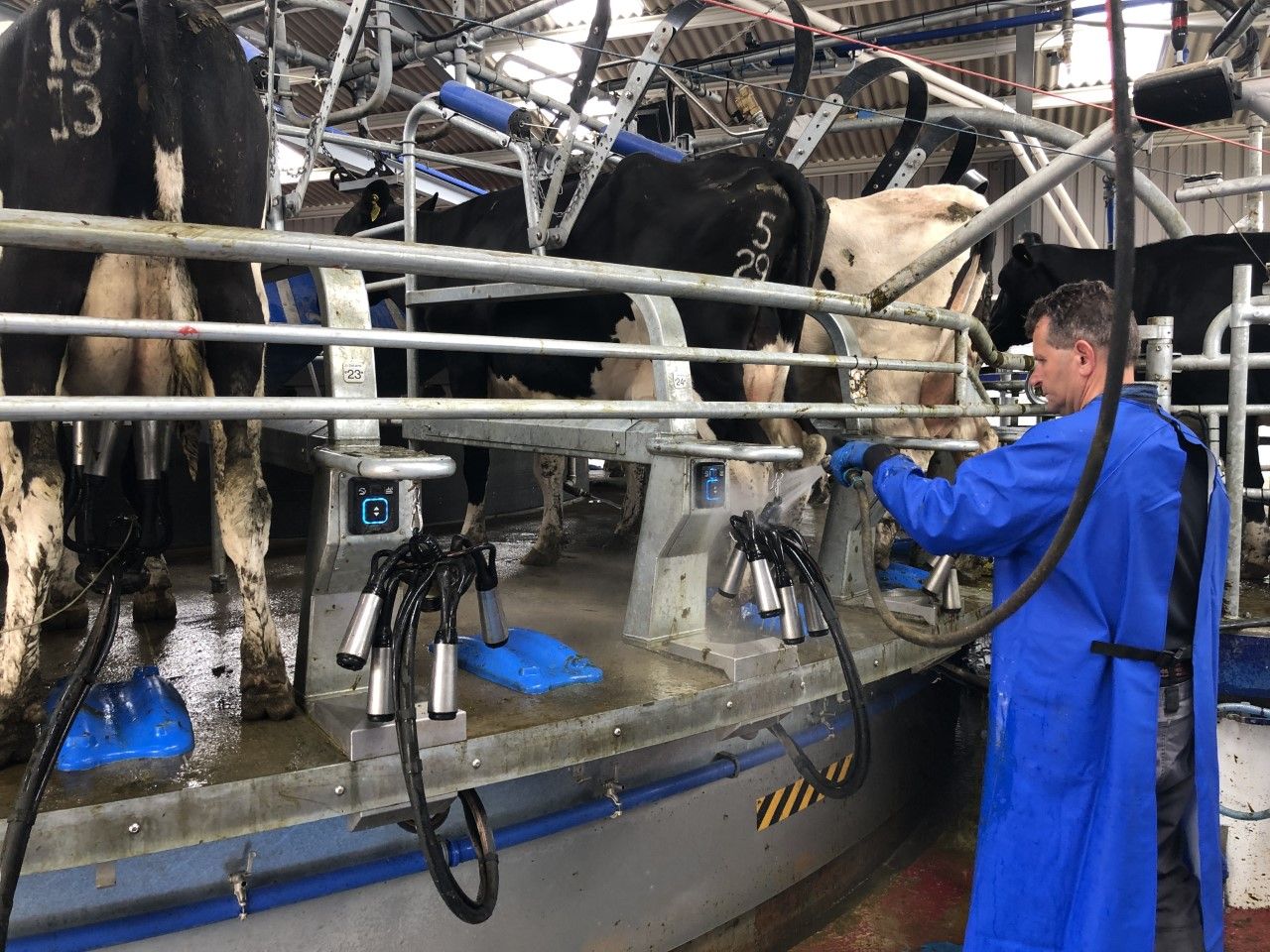 Ornua PPI lifts slightly for June milk amid 'stable returns'