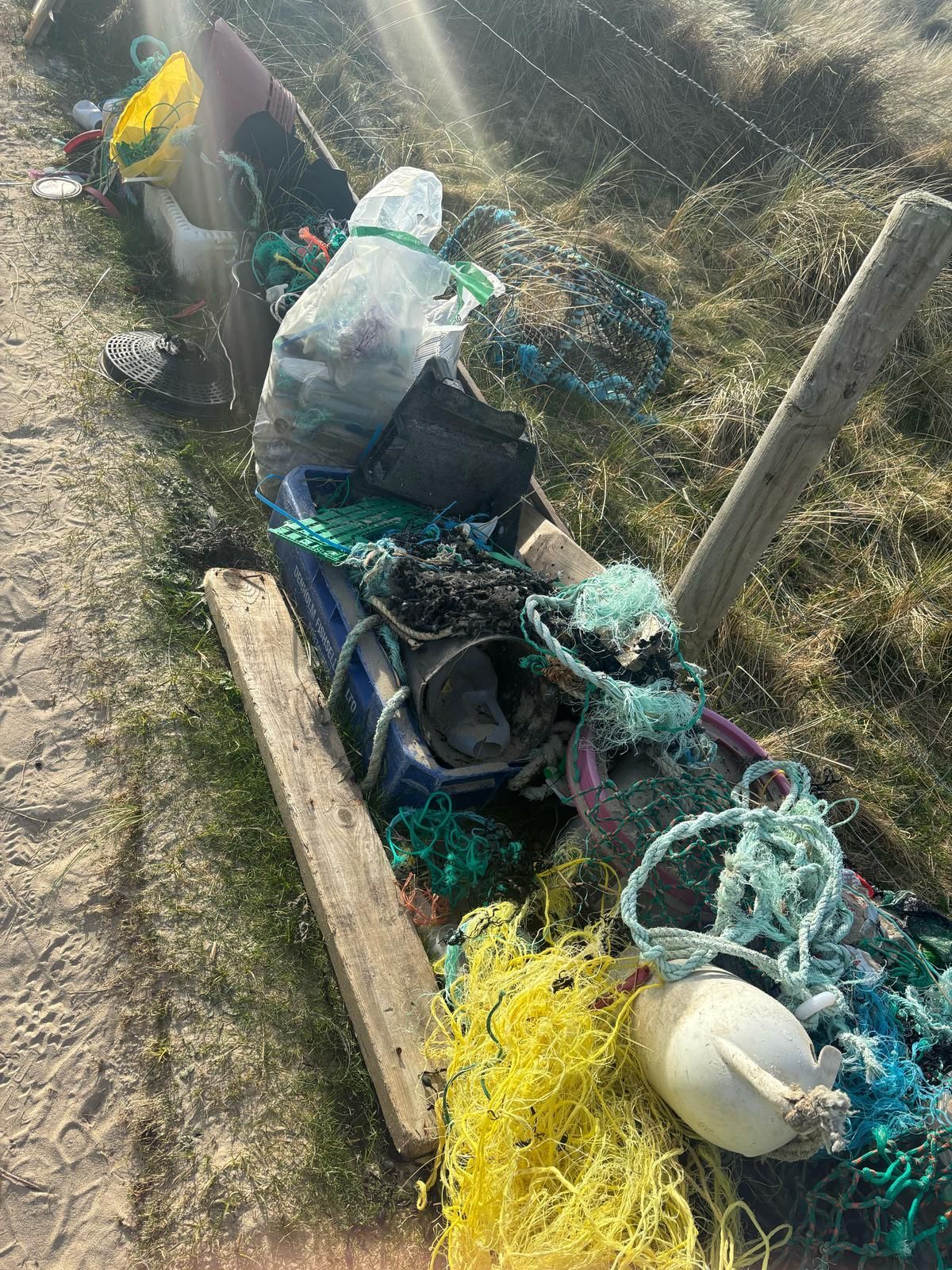 Dead dog found in Donegal clothing bank amid fears for dumping on farms