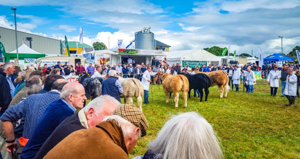 Agricultural shows galore this midsummer weekend