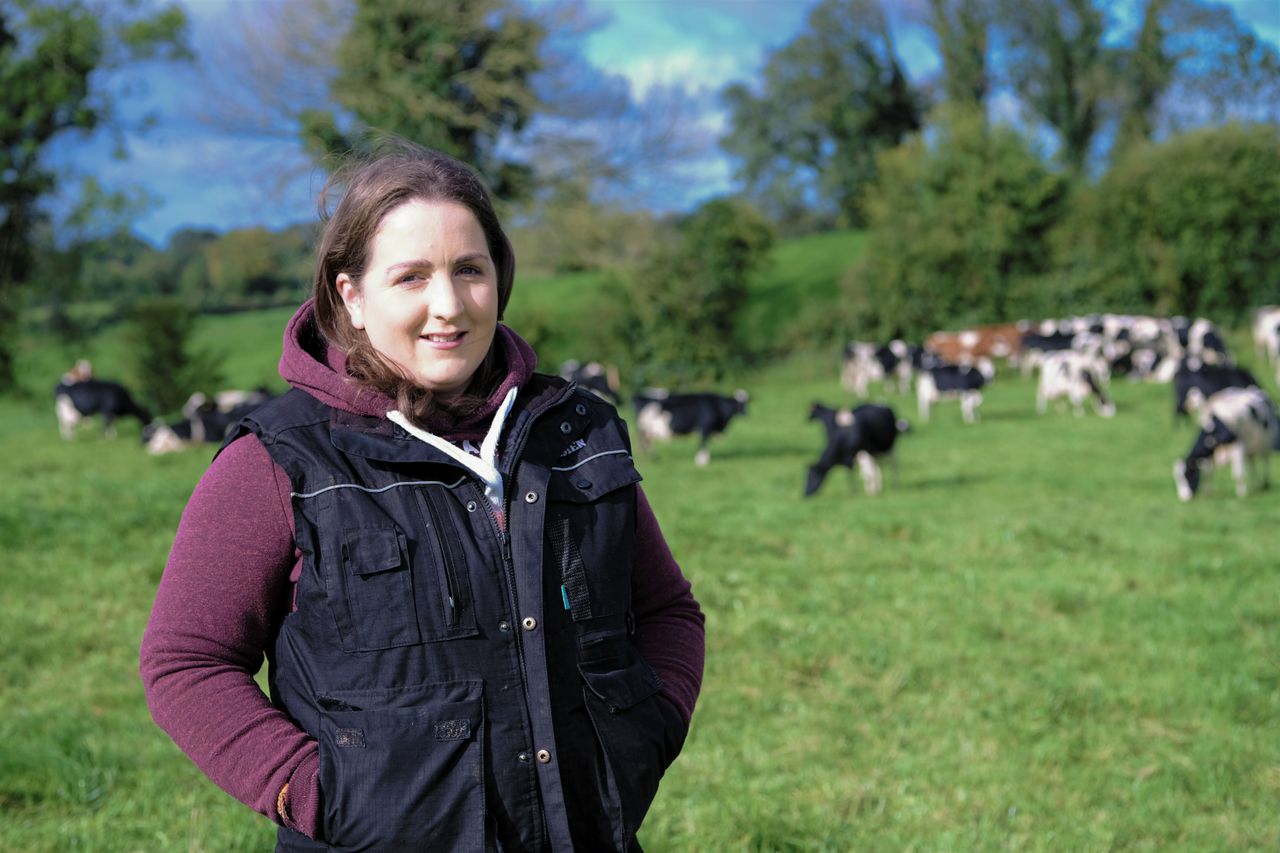 Westmeath dairy farmer joins Lakeland Dairies board