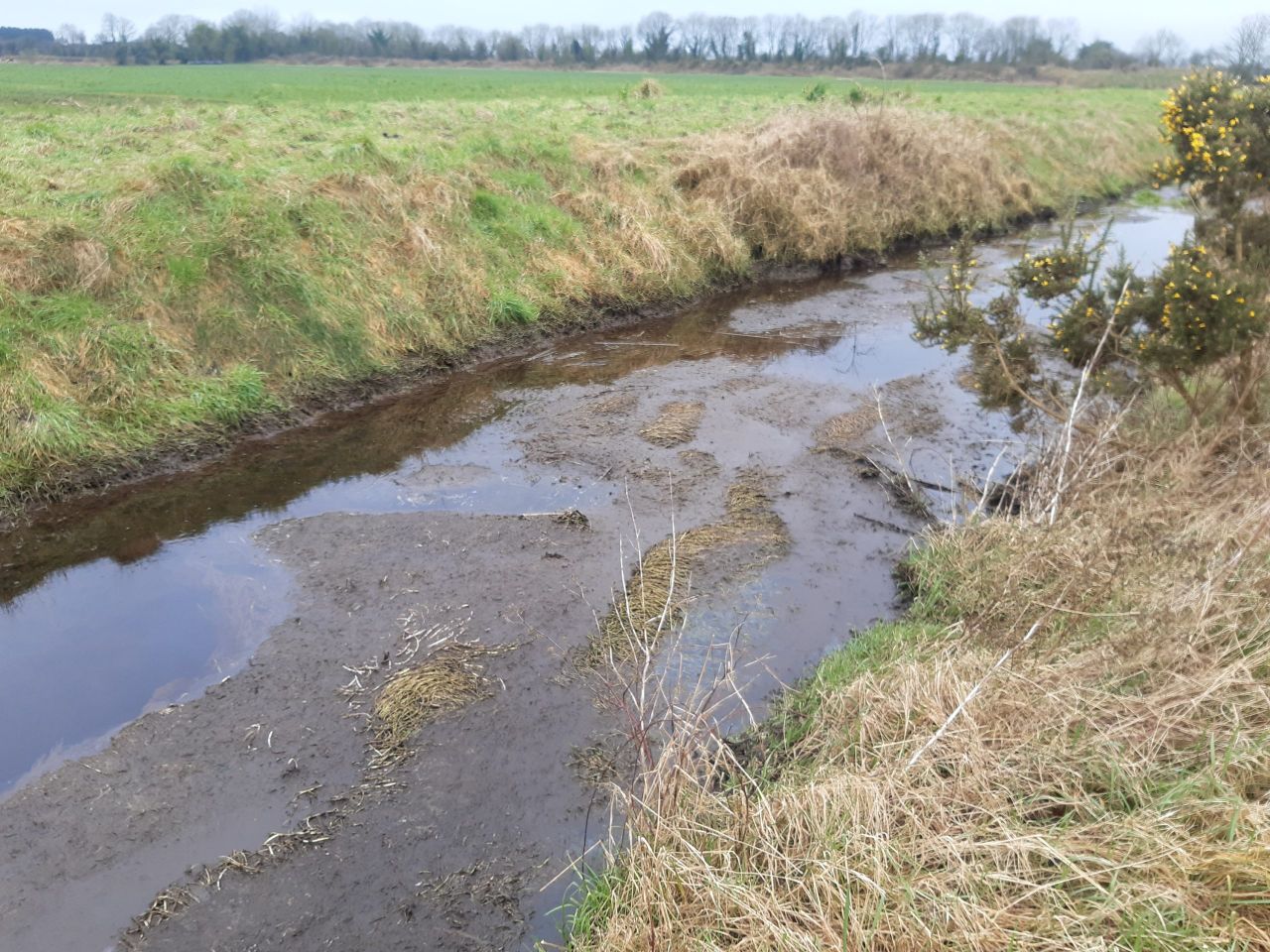 Cheese maker ordered to pay fines for slurry pollution of Co. Tipperary river