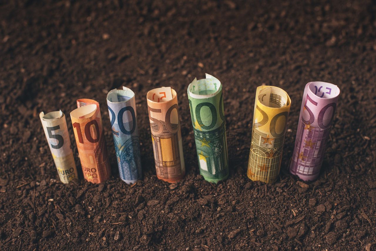 Report: Average farm income expected to grow to €48,500 in 2025