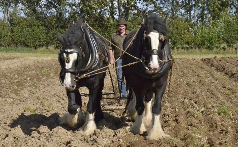 Knockbridge Vintage Rally and Working Day ready to roll