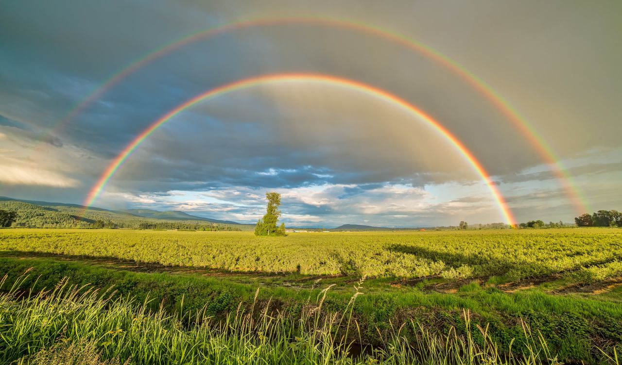 Why are GHG emissions projected to fall on Irish farms in 2023?